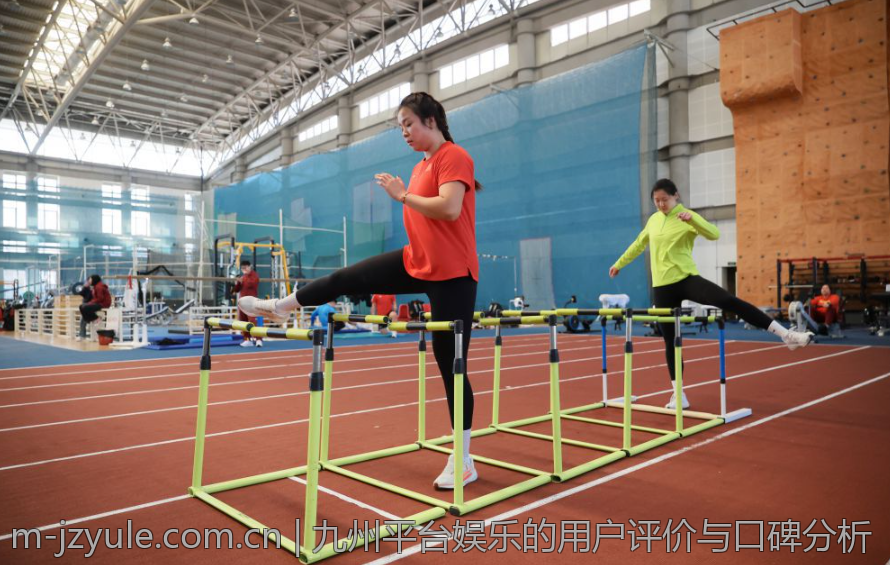 九州平台娱乐的用户评价与口碑分析